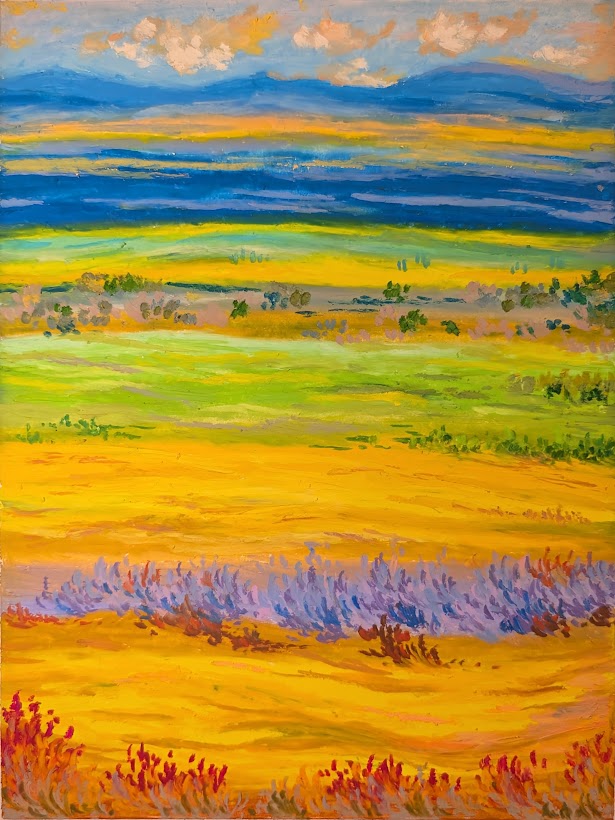 Fields of Color